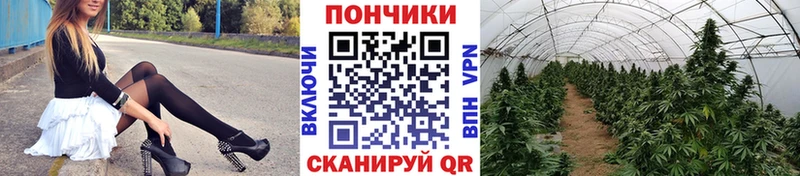 Бошки Шишки марихуана Первоуральск